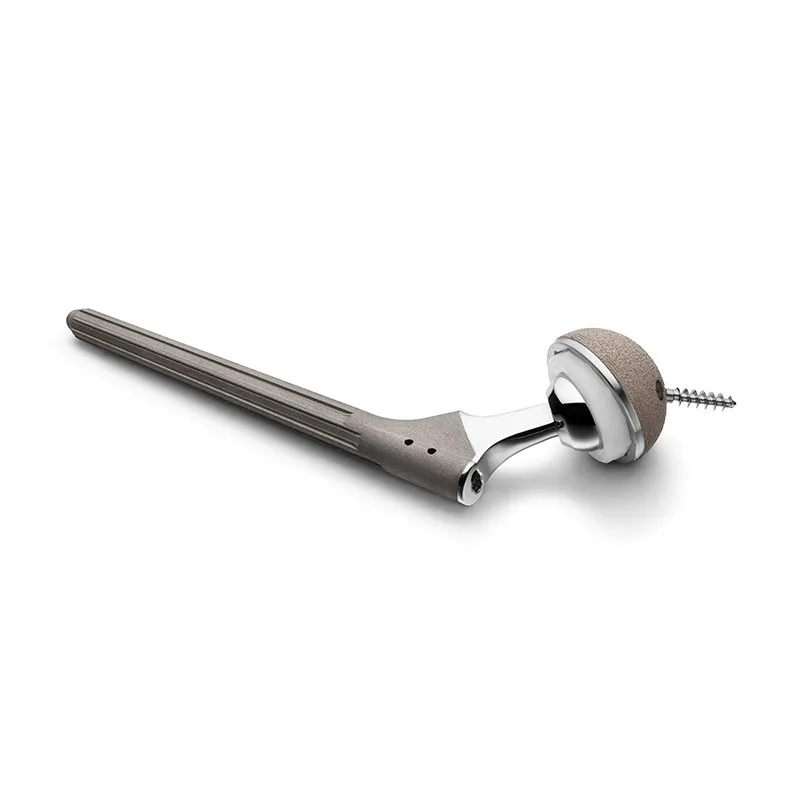 Cementless Hip Replacement Implant